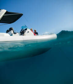 Bateau de 2m à 9m - Zodiac Nautic