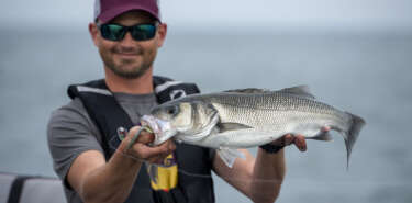 Pleasure boats for sea bass fishing