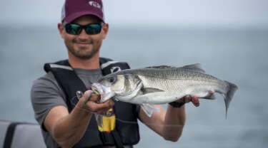 Pleasure boats for sea bass fishing