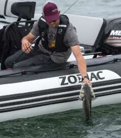 Fishing boat & RIB for fishing - Zodiac Nautic