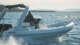 Miami boat show 2023 Medline 7.5