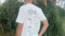Tee-shirt Zodiac Summer
