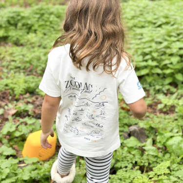 Vêtements Accessoires Zodiac